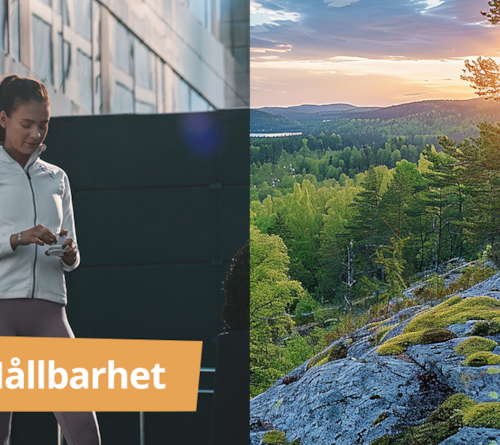 Snusbolagets EU-valmanifest: Hållbarhet