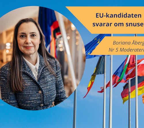EU-kandidaten Boriana Åberg svarar om snuset