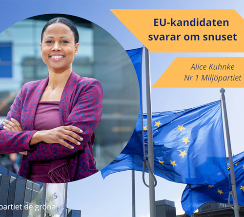EU-kandidaten Alice Kuhnke svarar om snuset