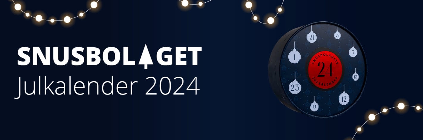 julkalendern 2024