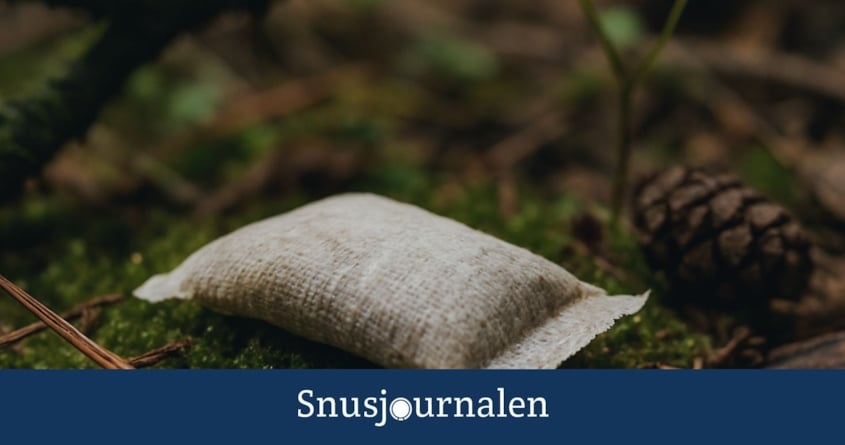 Snus nedbrytning naturen