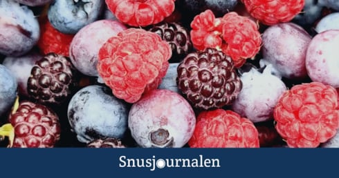 mest efterfrågade smaker på vitt snus