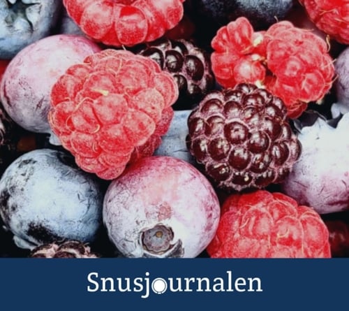 mest efterfrågade smaker på vitt snus