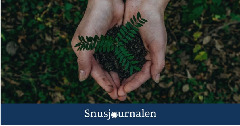 syntetiskt nikotin dyrare men mer hållbart