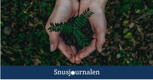 syntetiskt nikotin dyrare men mer hållbart