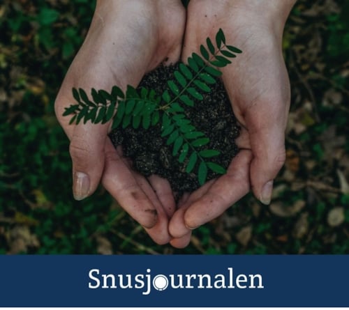 syntetiskt nikotin dyrare men mer hållbart