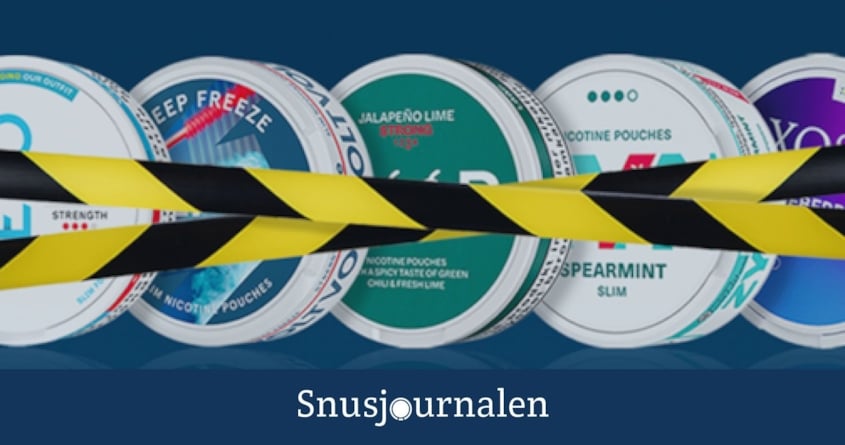 Ska ditt favoritsnus förbjudas?