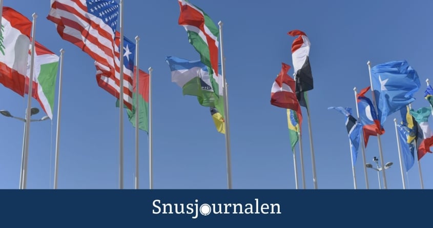 Så tvingas regeringen förbjuda snuset