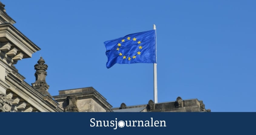 Översyn kritiseras för partiskhet