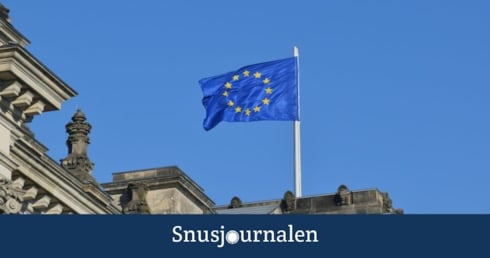 Översyn kritiseras för partiskhet