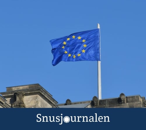 Översyn kritiseras för partiskhet
