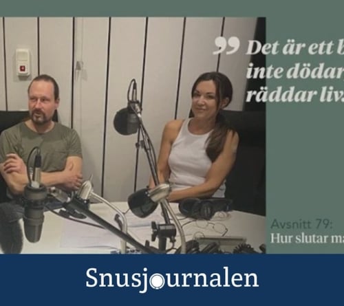 Smaksatta nikotinprodukter – av godo eller ondo?