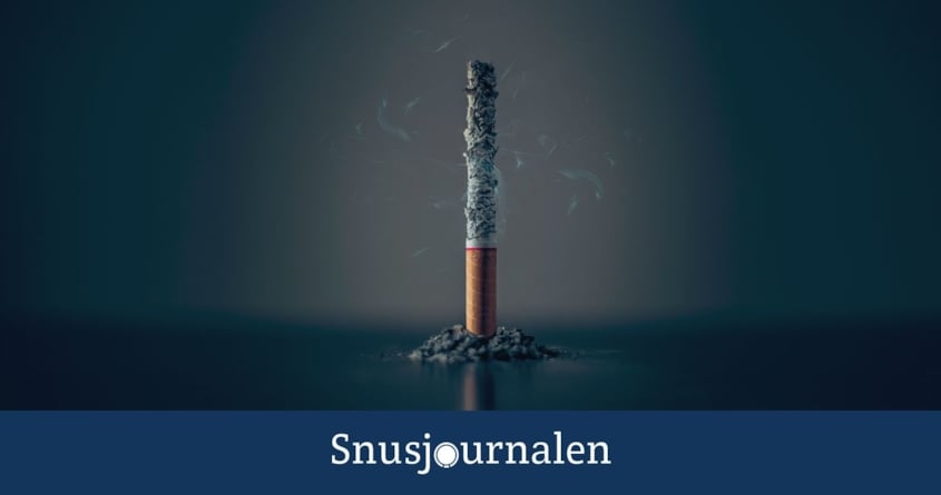 Efterfrågar ett reellt alternativ för kvarvarande rökare