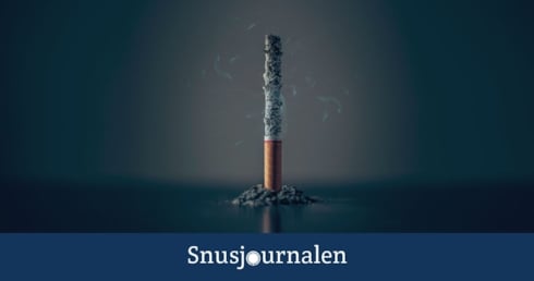 Efterfrågar ett reellt alternativ för kvarvarande rökare