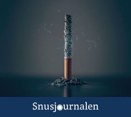 Efterfrågar ett reellt alternativ för kvarvarande rökare