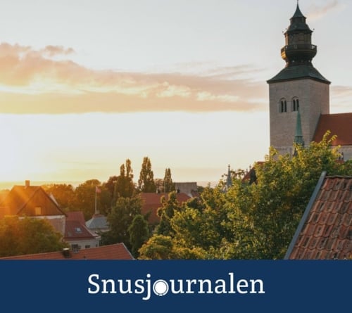 Snusbolaget i Almedalen 2019