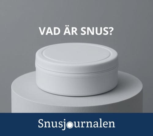 vad är snus? snusjournalen förklarar