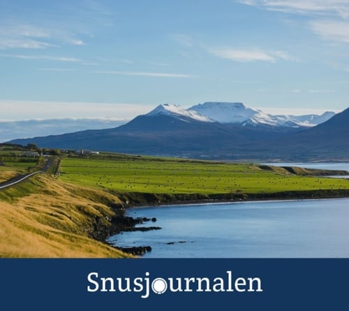 Snus på Island