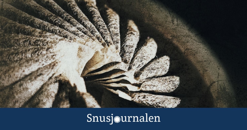 Allt om snus - fakta och historia