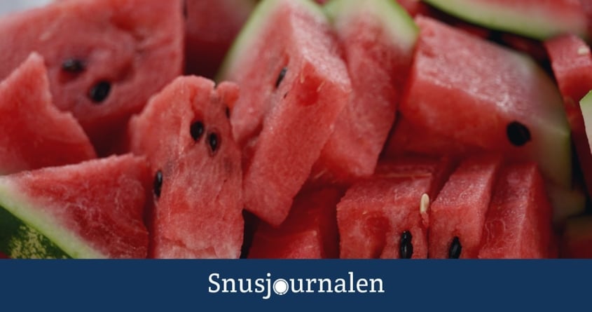 Snusets Smak – Del 7: Melon