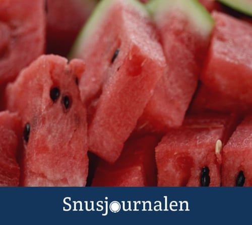 Snusets Smak – Del 7: Melon