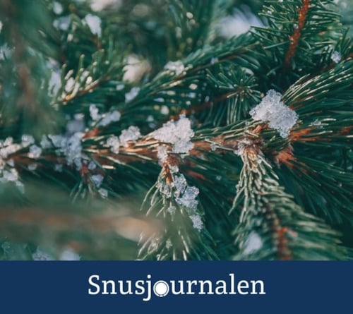 Julesnuset är tillbaka