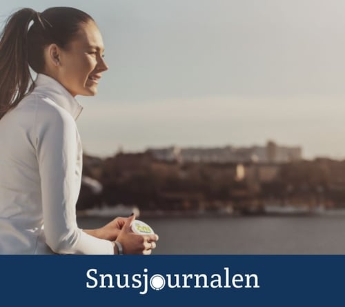 Svensken och snuset - vem, var, varför?