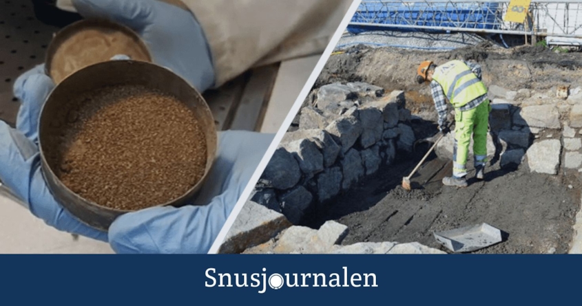 300 år gammalt snus hittat i Norrköping