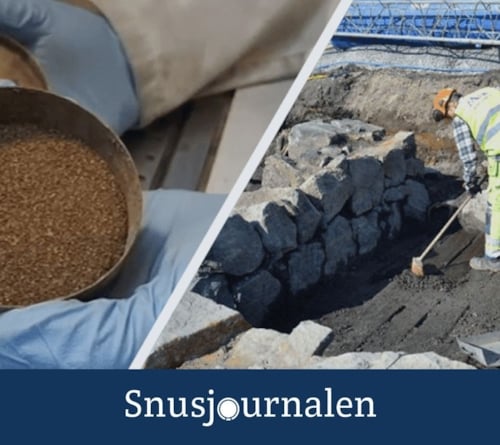 300 år gammalt snus hittat i Norrköping