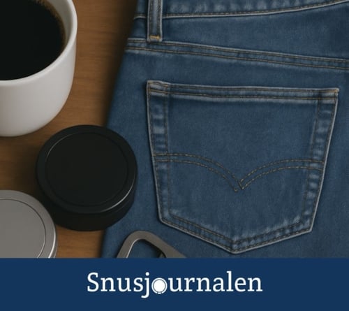 33 saker bara snusare känner igen