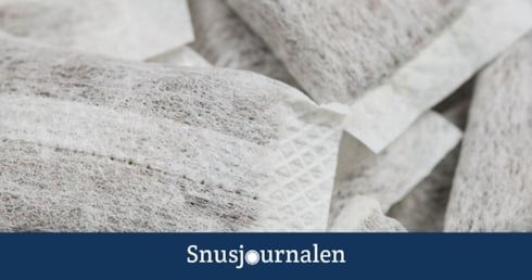 Stora snusguiden