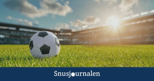 så snusar allsvenska supporters