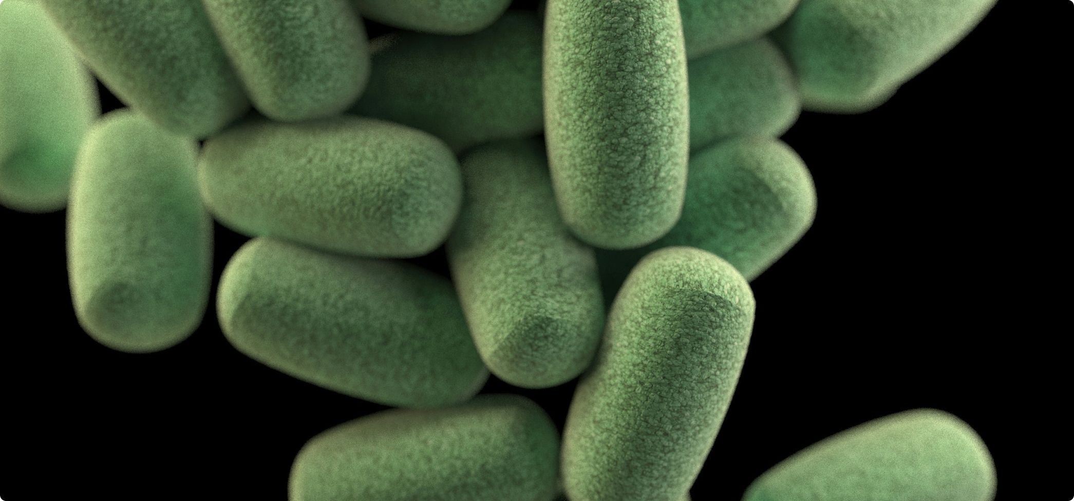 Svetta snus mot bakterier