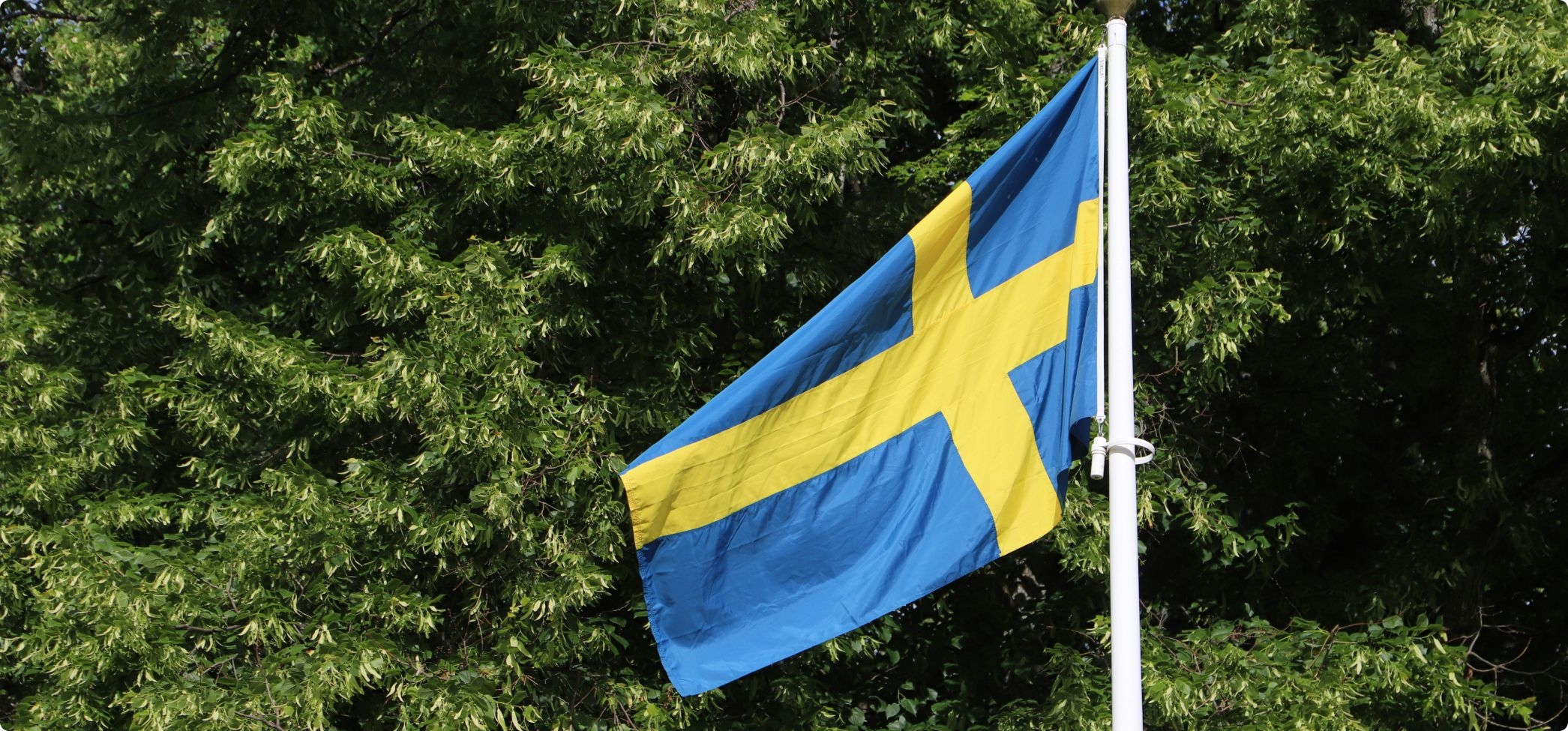 Sverige får beröm för sin tobakspolitik