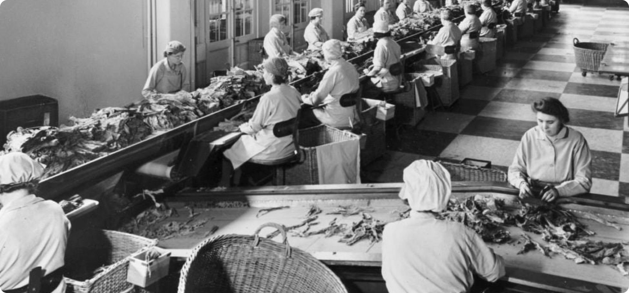 Snus historia kvinnor i tobaksfabrik