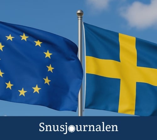 Svar på ”Call for Evidence”: "anta ett riskreduktionsperspektiv"