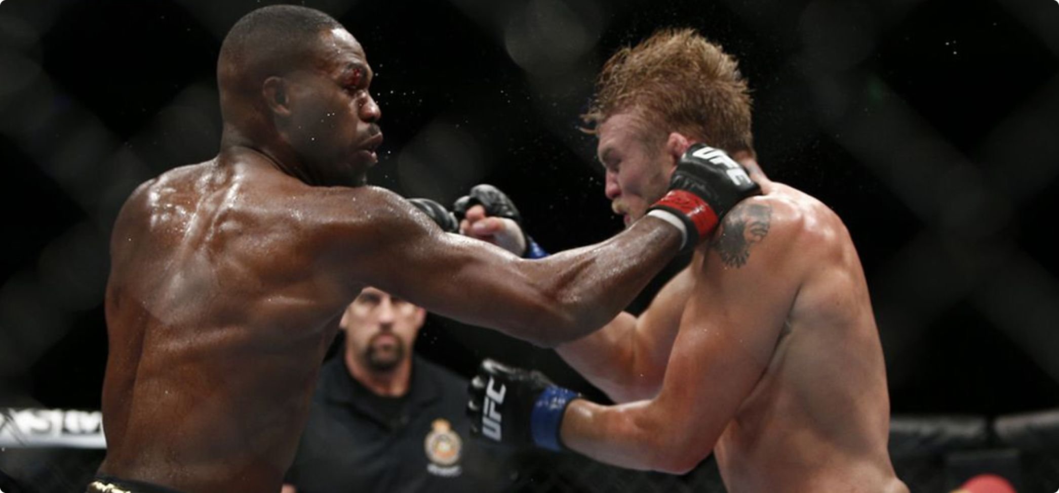 Alexander Gustafsson MMA fight