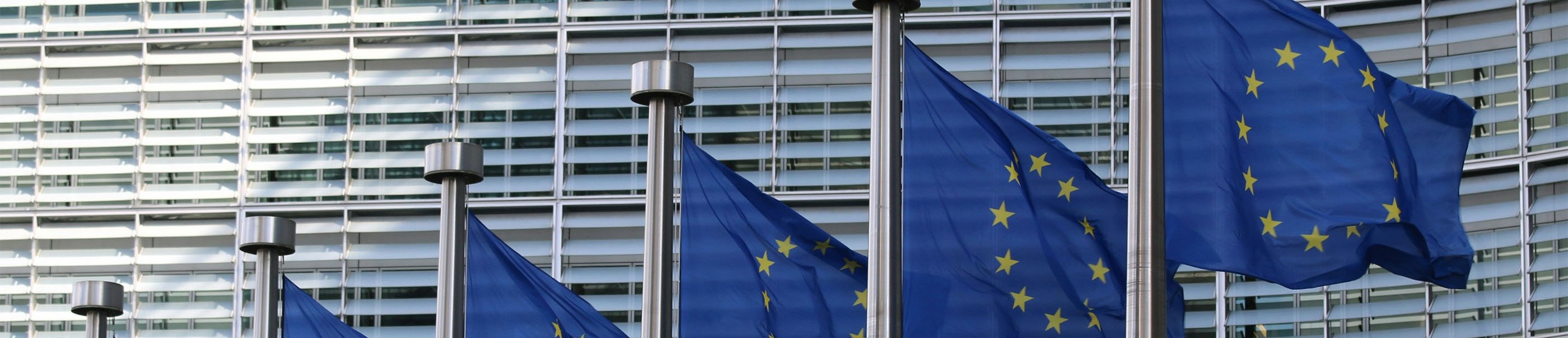 EU-flaggor