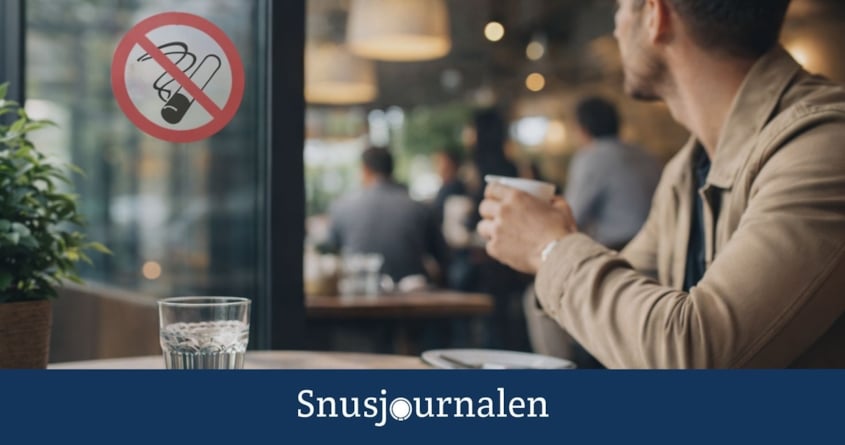 Rökförbudet förändrade nikotinmarknaden