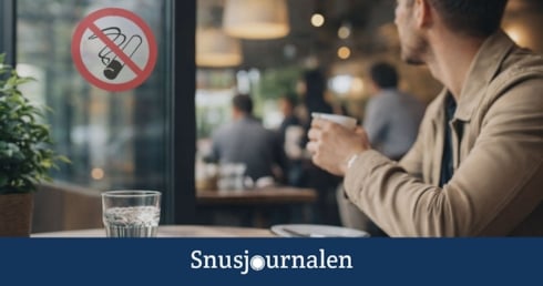 Rökförbudet förändrade nikotinmarknaden