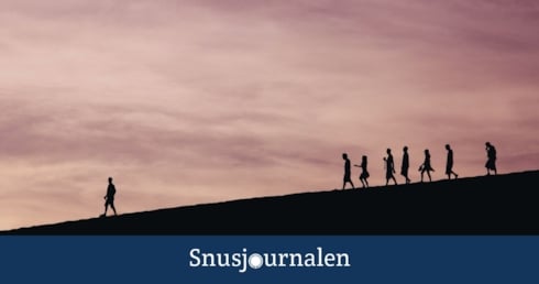 Bild som föreställer folk följa en ledare