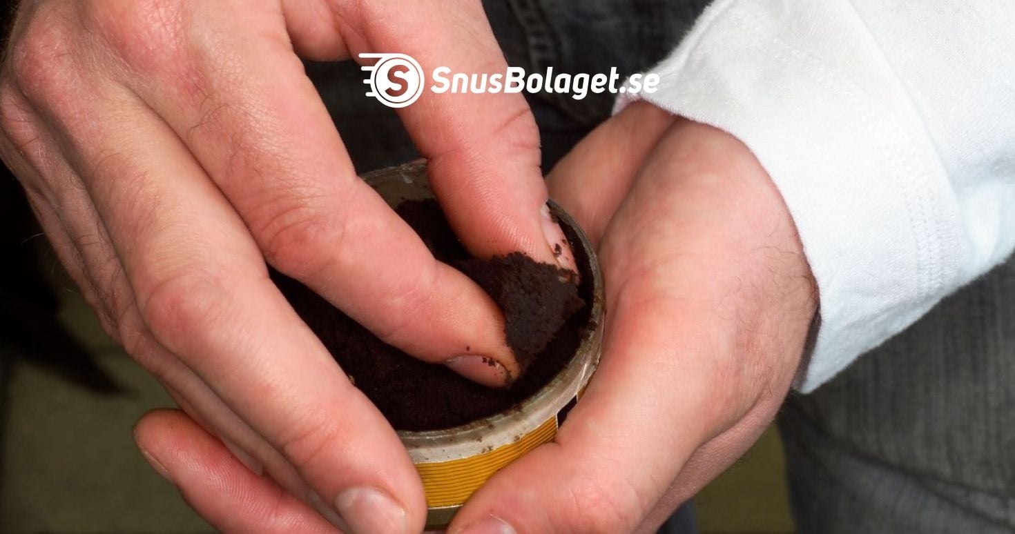 Här är svenskarna favoritsnus