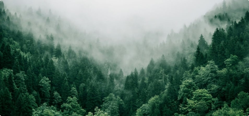 Helwit testar snusdosa i fiber