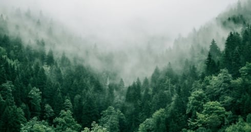 Helwit testar snusdosa i fiber