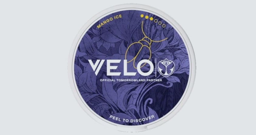 VELO Tomorrowland 2026 - Butterfly version