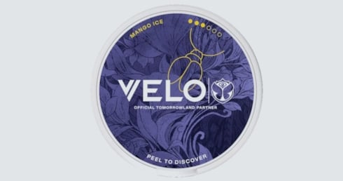 VELO Tomorrowland 2026 - Butterfly version