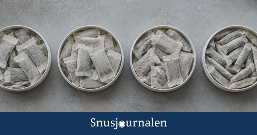 Hur många prillor är det i en dosa? Se antal per snusmärke