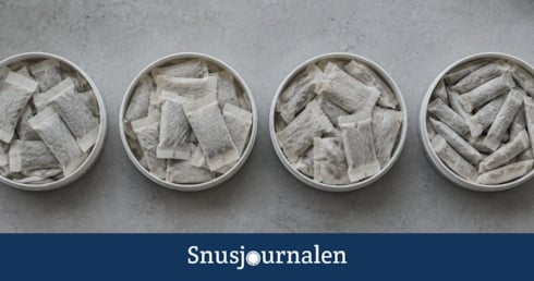 Hur många prillor är det i en dosa? Se antal per snusmärke