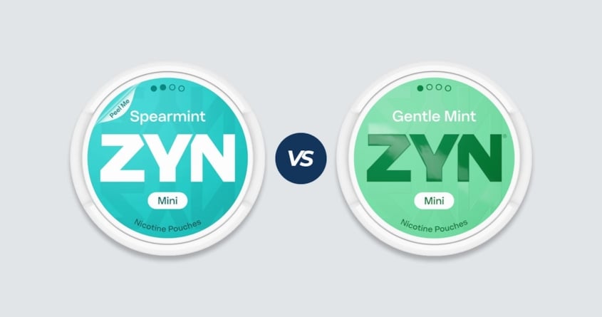 ZYN Mini vs ZYN Mini Dry - vad är skillnaden?