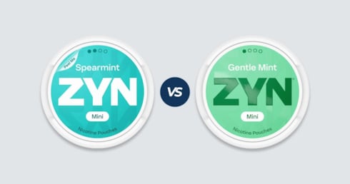 ZYN Mini vs ZYN Mini Dry - vad är skillnaden?